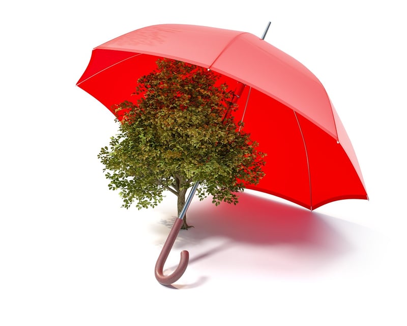 Personalized Eco-Friendly Items